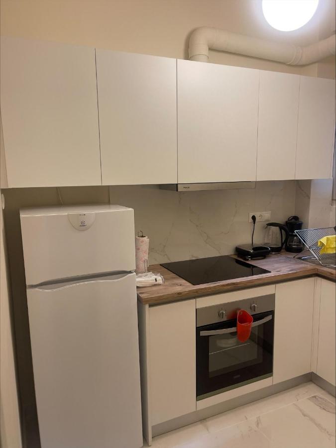 Stylish City Center Garden Apartment Афіни Екстер'єр фото